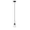 Z-Lite Bohin 1 Light Mini Pendant, Matte Black And Clear Seedy 464MP-MB - alternate 2